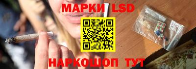 стафф Кандалакша