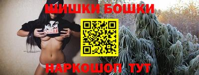 стафф Кандалакша
