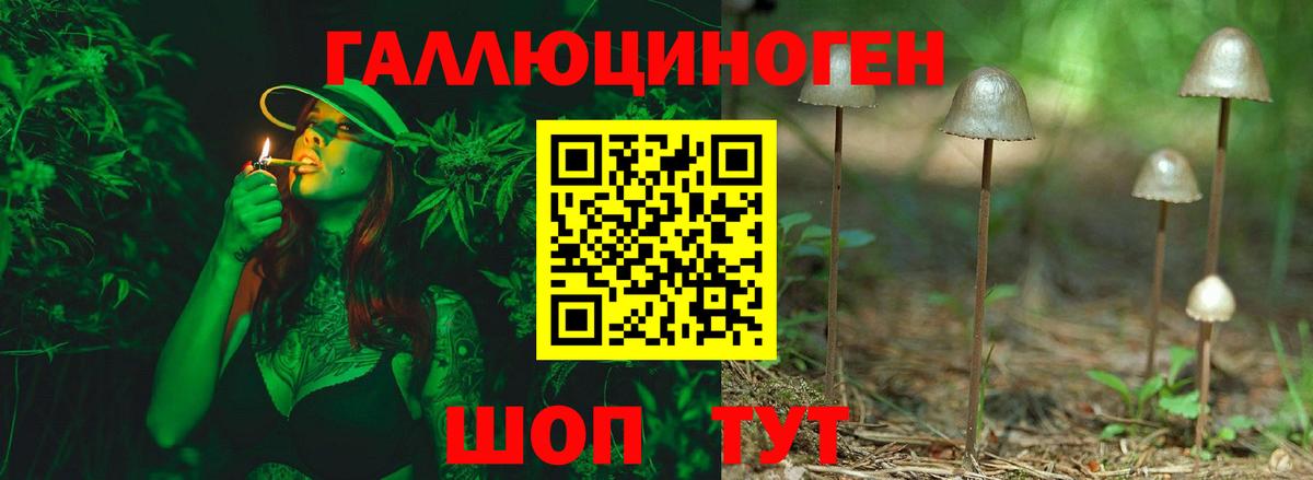 Краснознаменск  наркотики  Вход с VPN  Галлюциногенные грибы Psilocybine cubensis  Псилоцибиновые грибы мухоморы 